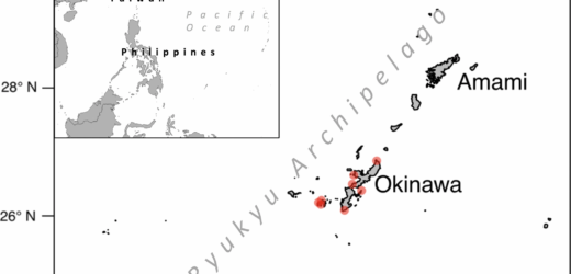 Seascape genomics as a new tool to empower coral reef conservation strategies: An example on north‐western Pacific Acropora digitifera
