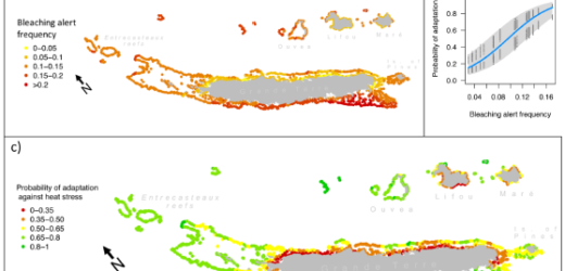 Coral cover surveys corroborate predictions on reef adaptive potential to thermal stress